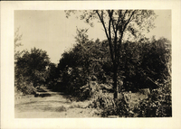 Photo only available in the library